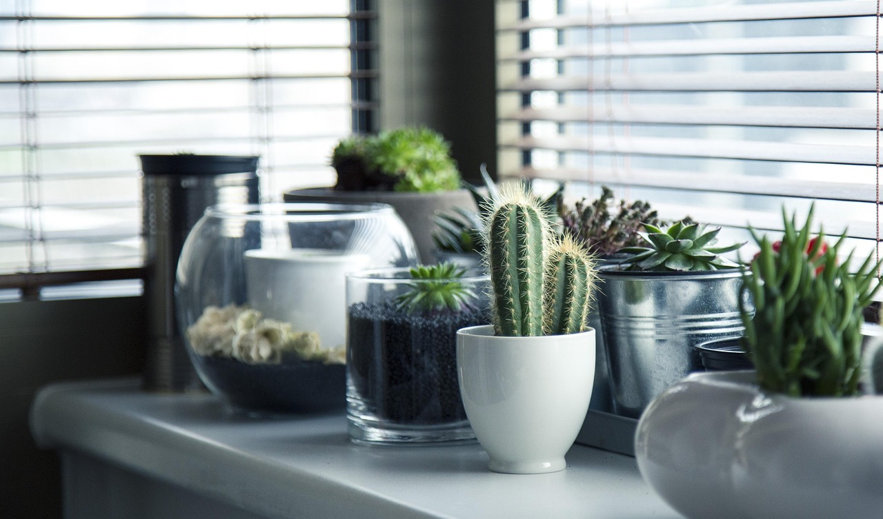 Vrouw verzorgt luchtzuiverende planten in woonkamer.
