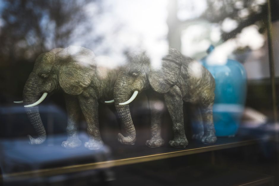 Olifant schilderij met levendige kleuren. Olifant schilderij met levendige kleuren.